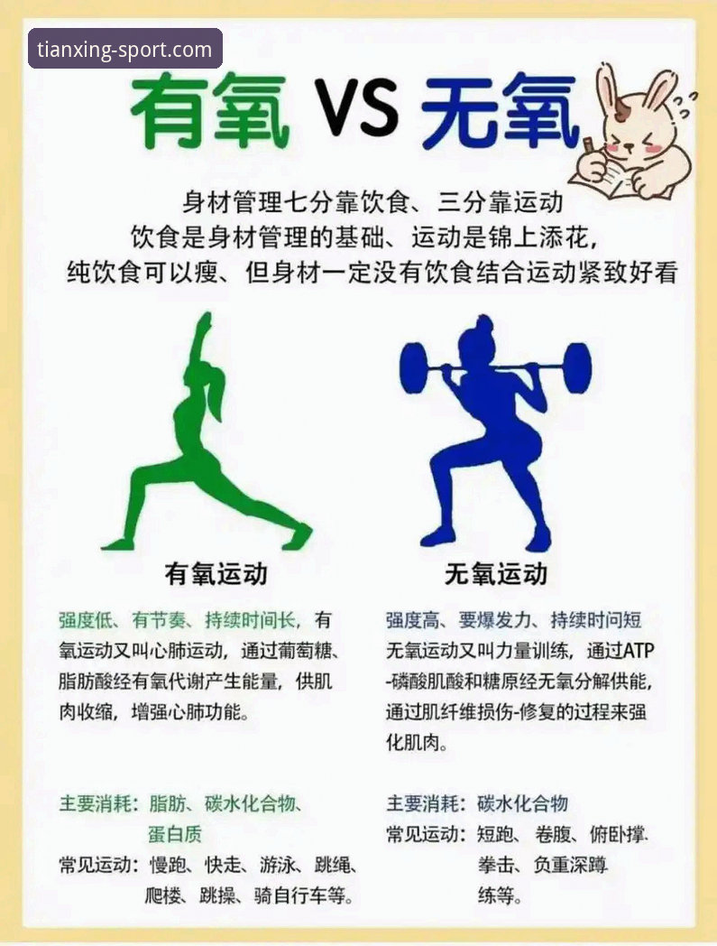 揭秘天行体育体验对比：用户李薇亲测后的真实反馈，这些细节你可能不知道